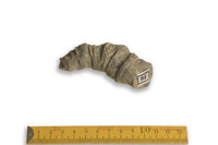 F 00094
<br/>
<br/>
<em></em>